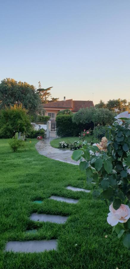 Villa Luce B&B Olbia Exteriör bild
